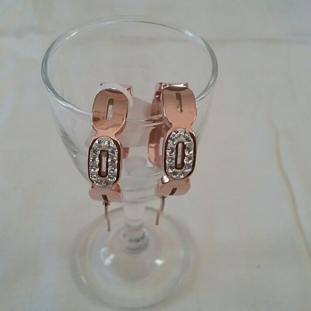 Austrian Crystal ION Plated RG Hoop Earrings